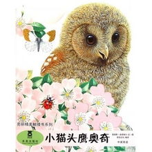 貓頭鷹價格查詢與比價攻略 從51比購返利網到貓頭鷹網絡科技