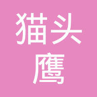 探秘貓頭鷹網絡科技 優勢、業務與市場評價
