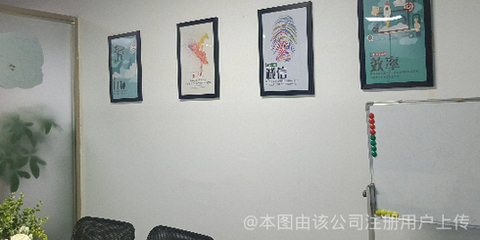 貓頭鷹網絡科技 洞察黑夜，引領未來